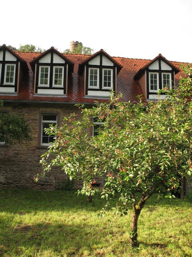 Gastehaus Felsenmuhle Im Tal Hotel Neuleiningen Pokój zdjęcie